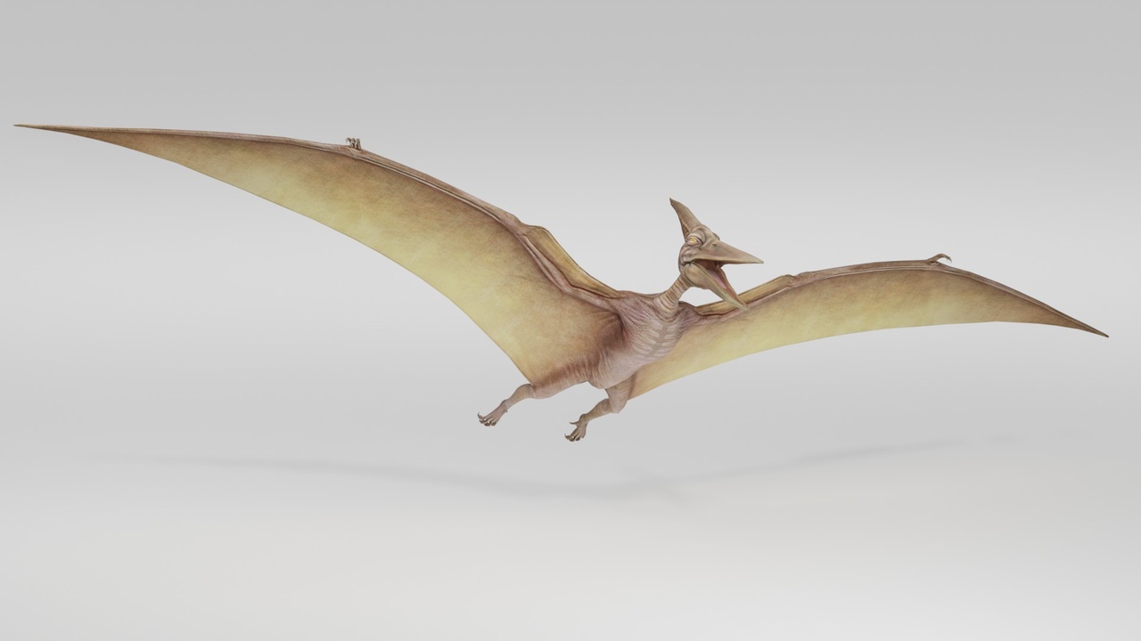 Media 1 for listing Realistic Pterodactyl Flying Prehistoric Creature