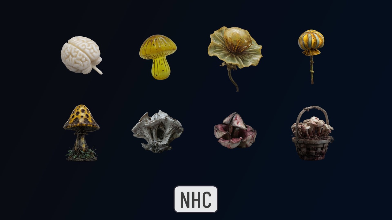 Media 1 for listing NHC - Horror Collectible Plants 02