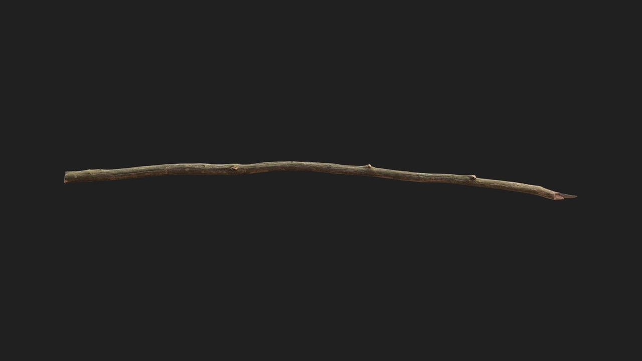Common Spruce Branch | Fab