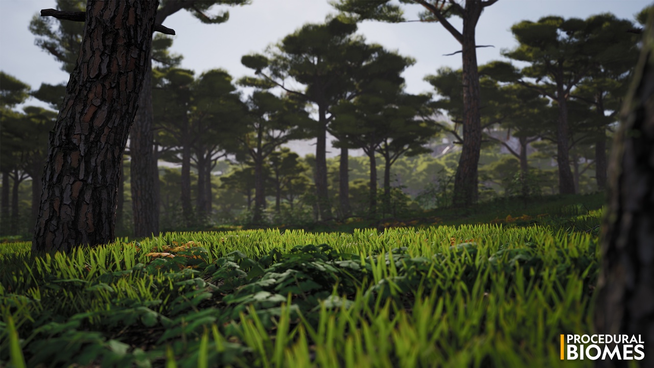 Media 1 for listing Procedural Biomes