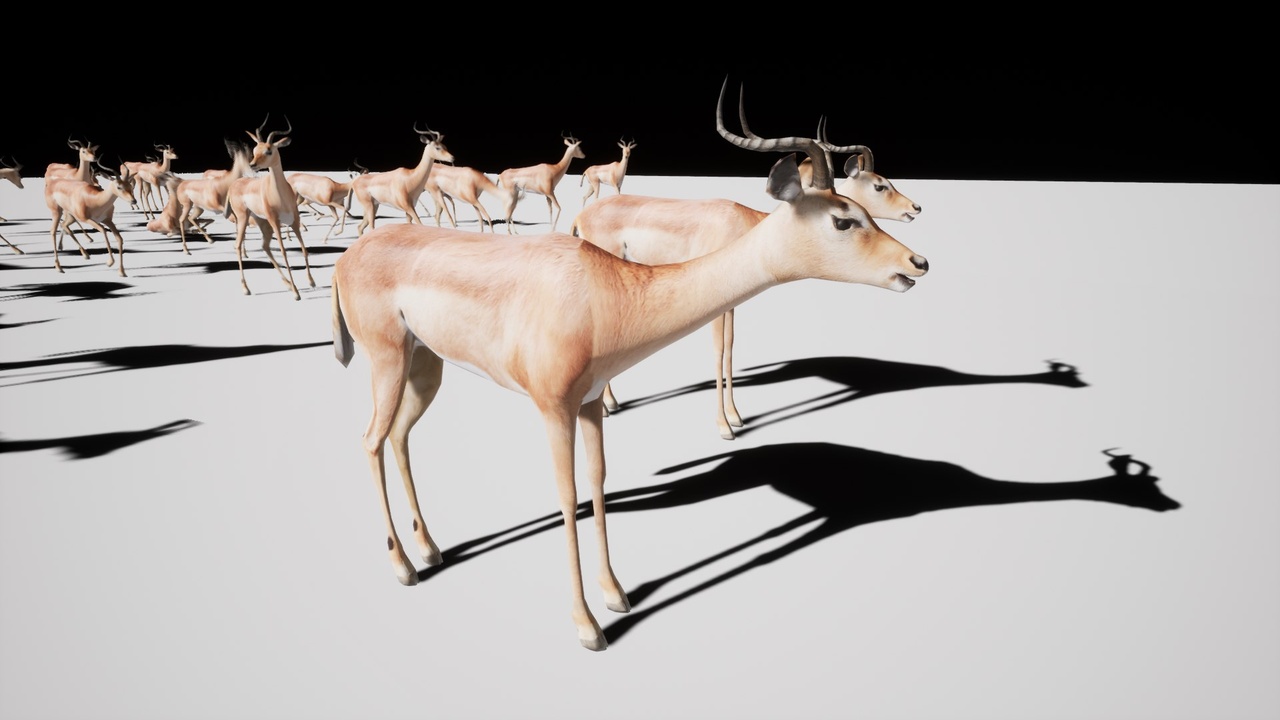 Media 1 for listing Impala