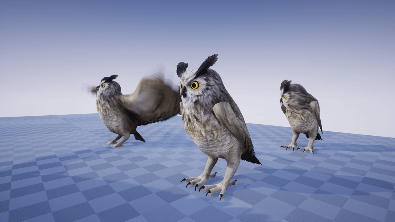 Media 1 for listing GREAT HORNED OWL