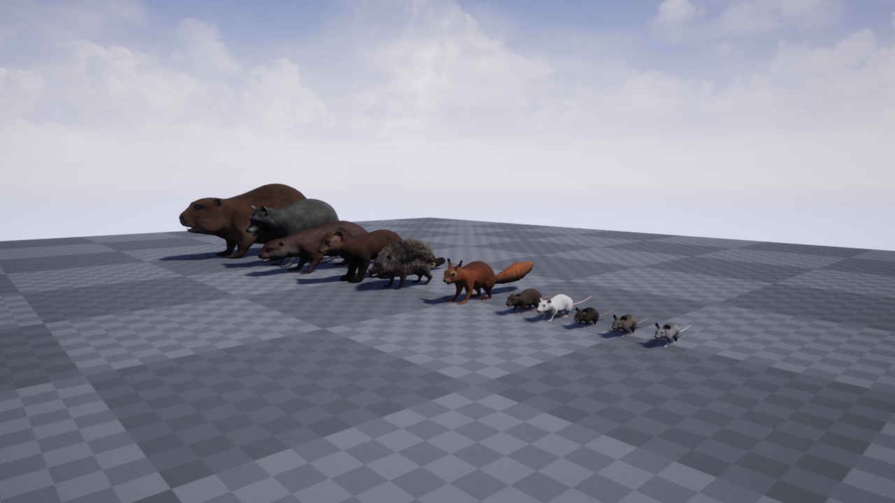 Media 1 for listing Pack of small animals