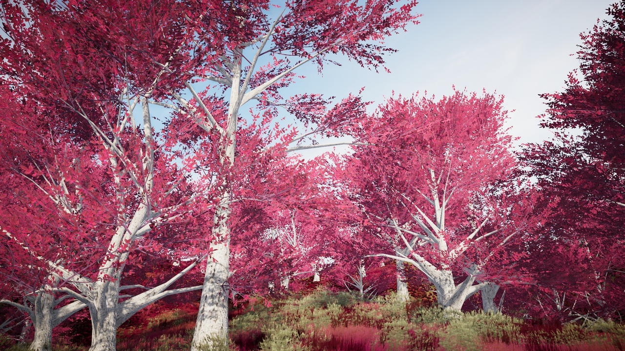 Media 1 for listing Realistic Trees Pack 40 (Mobile/PC)