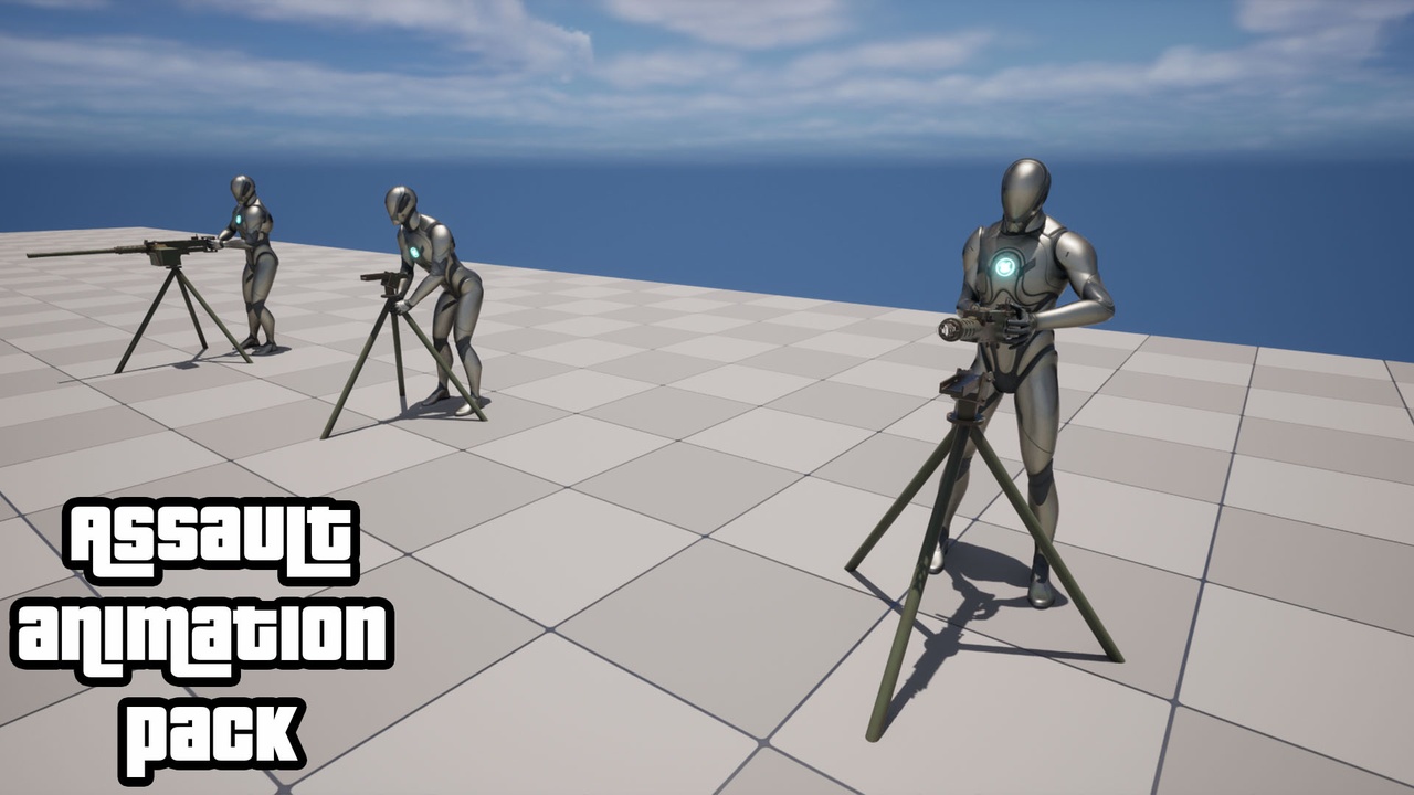 Media 1 for listing Assault Animation Pack