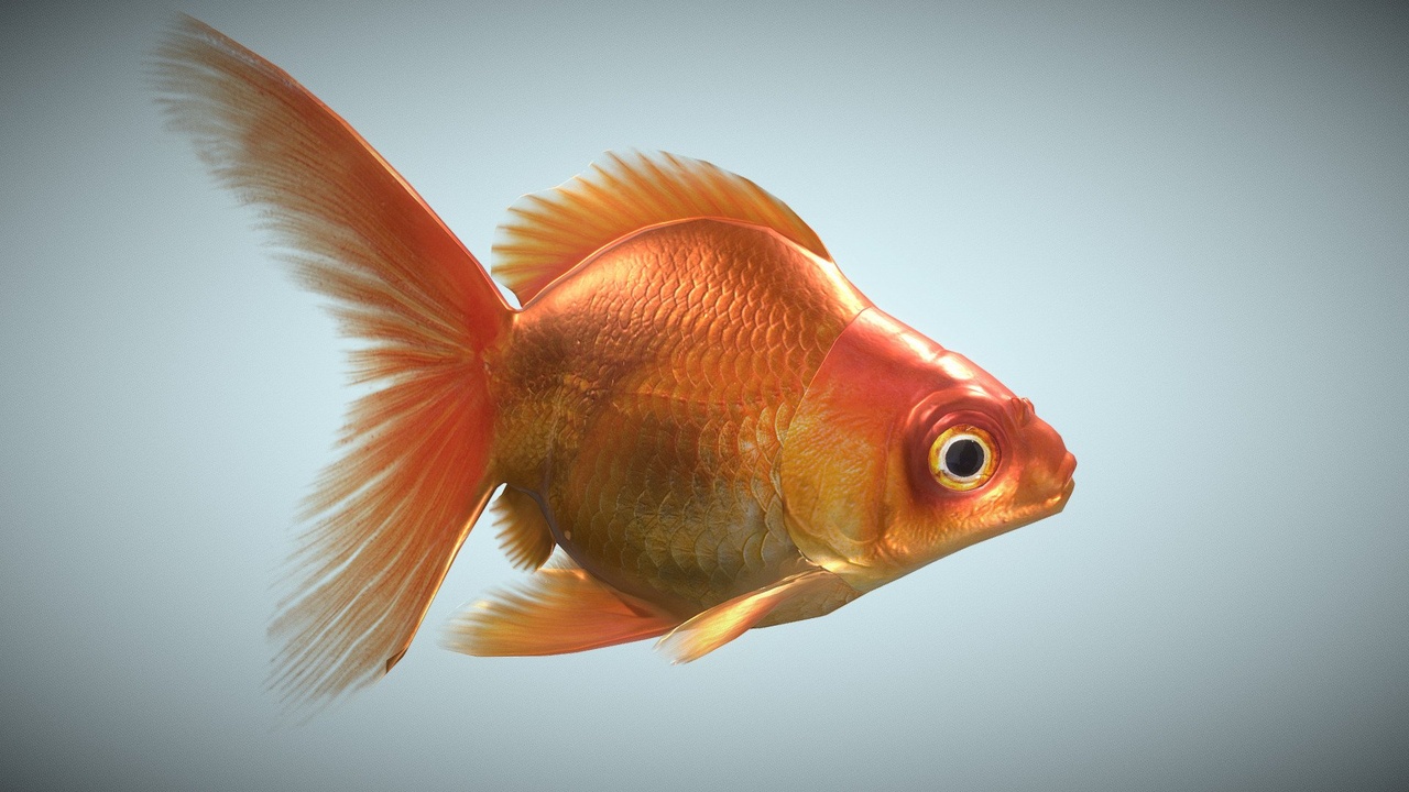 Media 1 for listing Gold Fish 3D, Low poly.