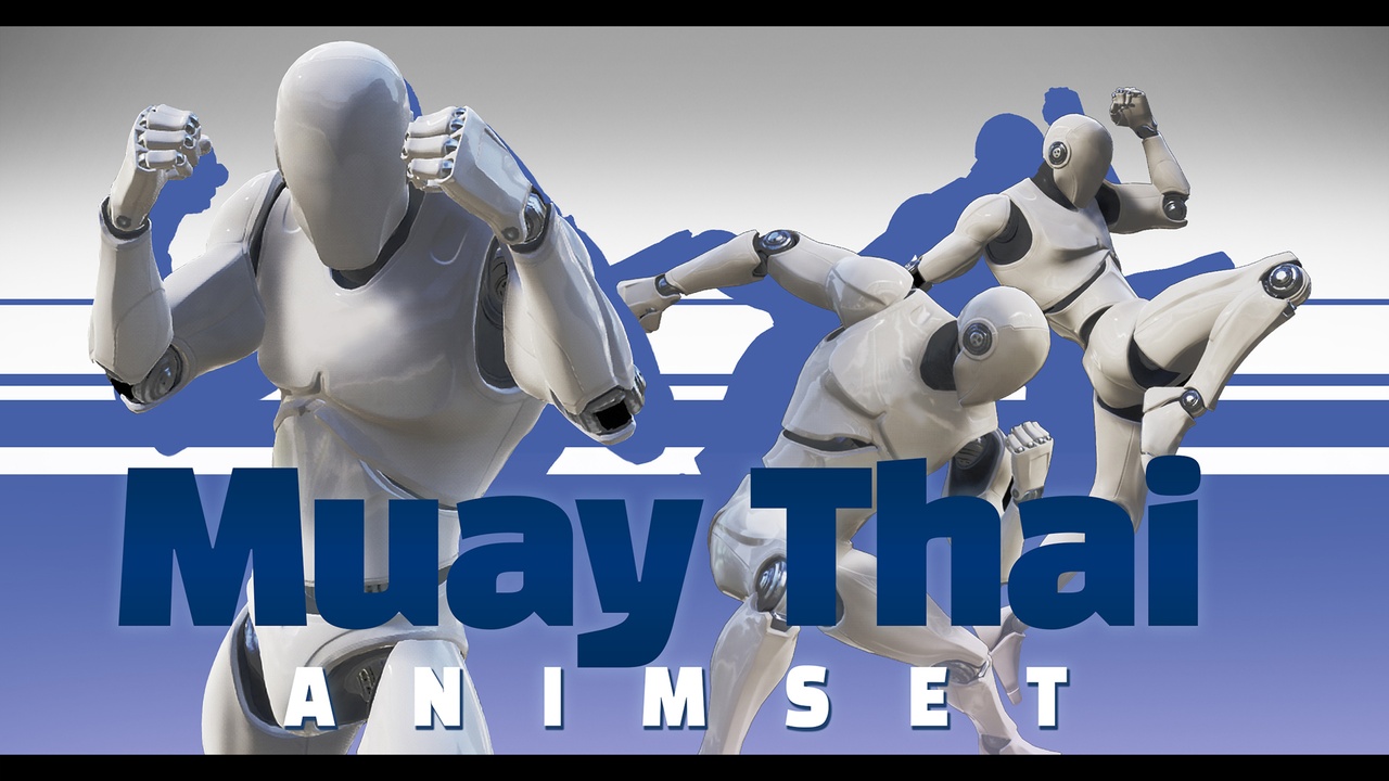 Media 1 for listing MuayThai AnimSet