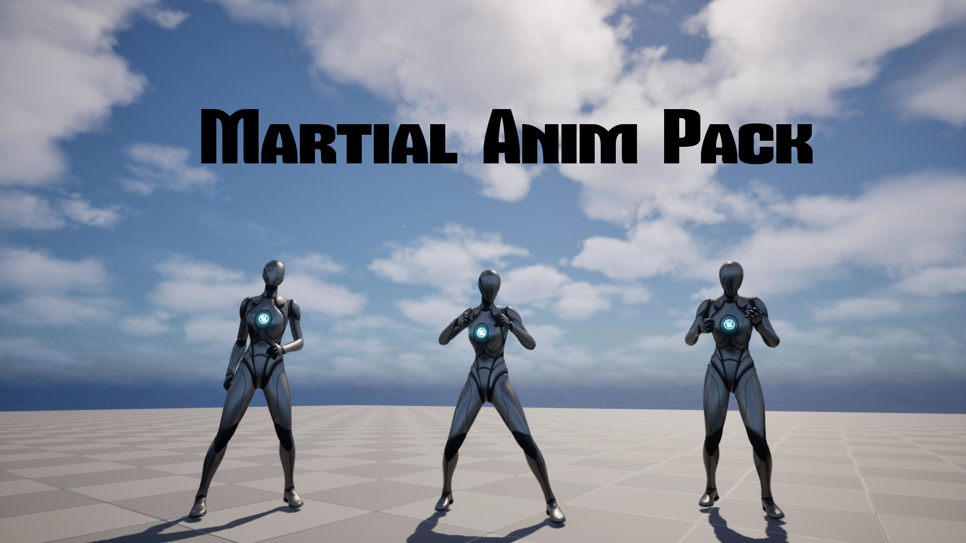 Martial Anim Pack | Fab