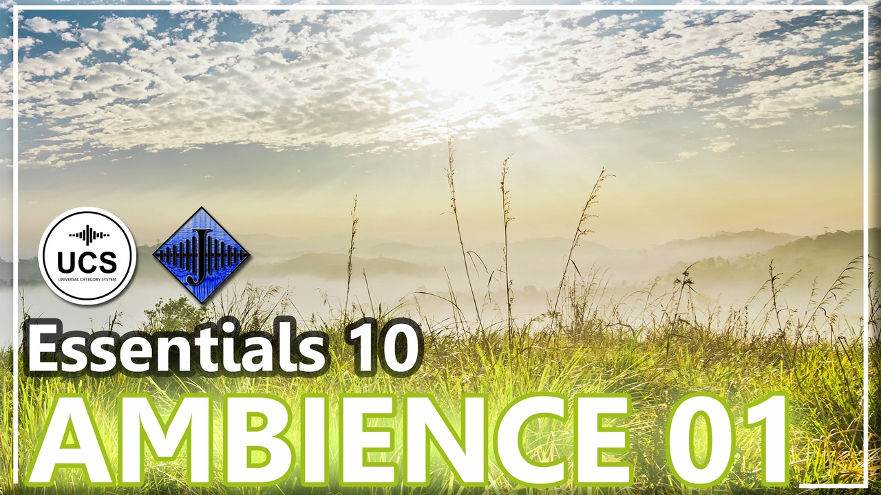 Media 1 for listing SFX Essentials 10 AMBIENCE 01