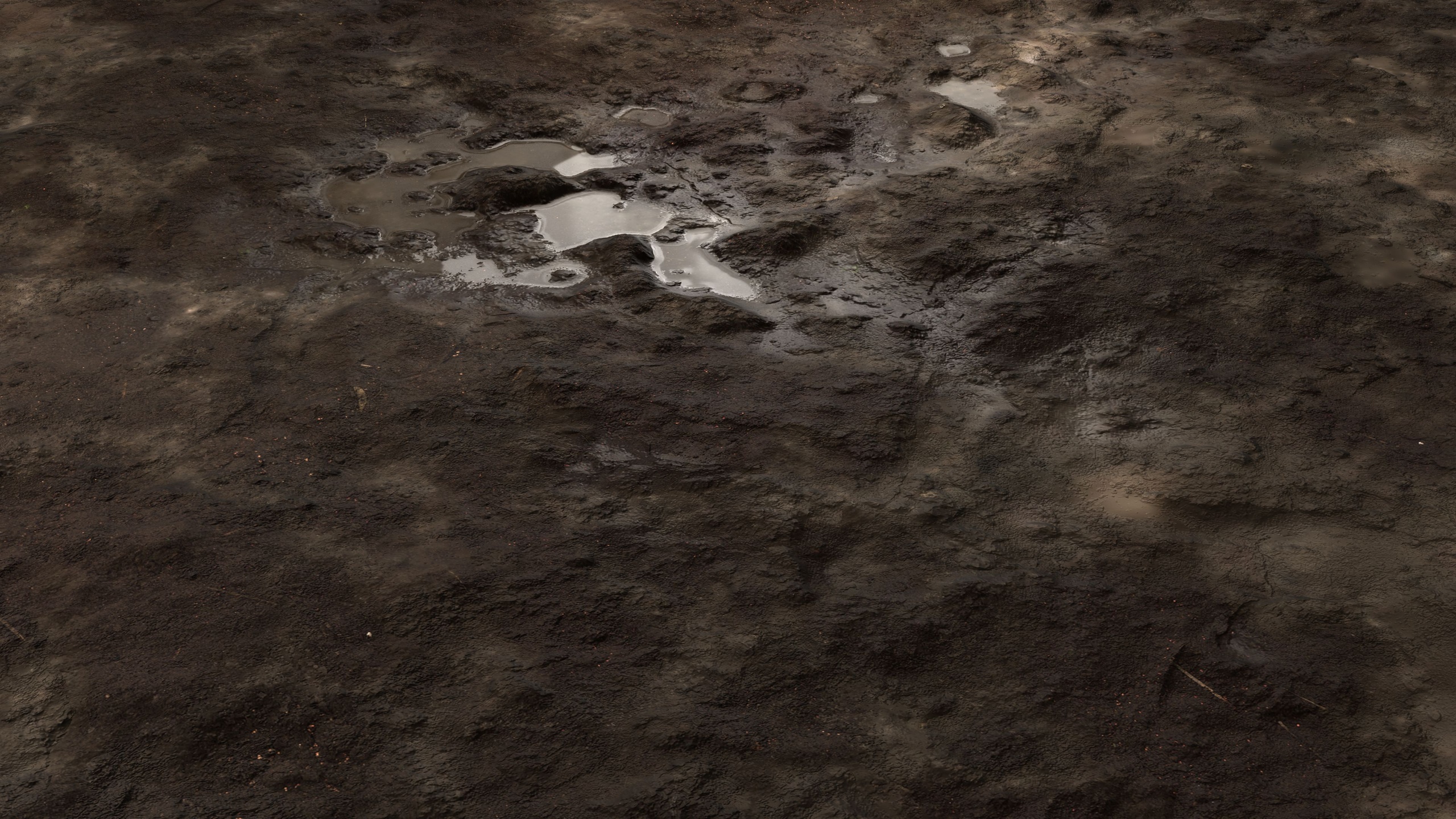 Media 1 for listing Mud 8K PBR Texture