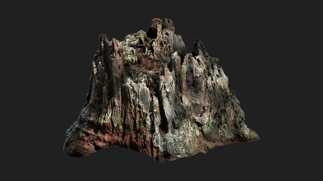 Media 1 for listing Dead Tree Stump