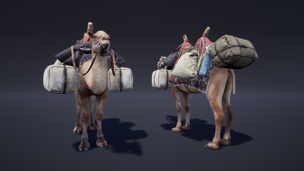 商品 Camel Fantasy 的媒体 1