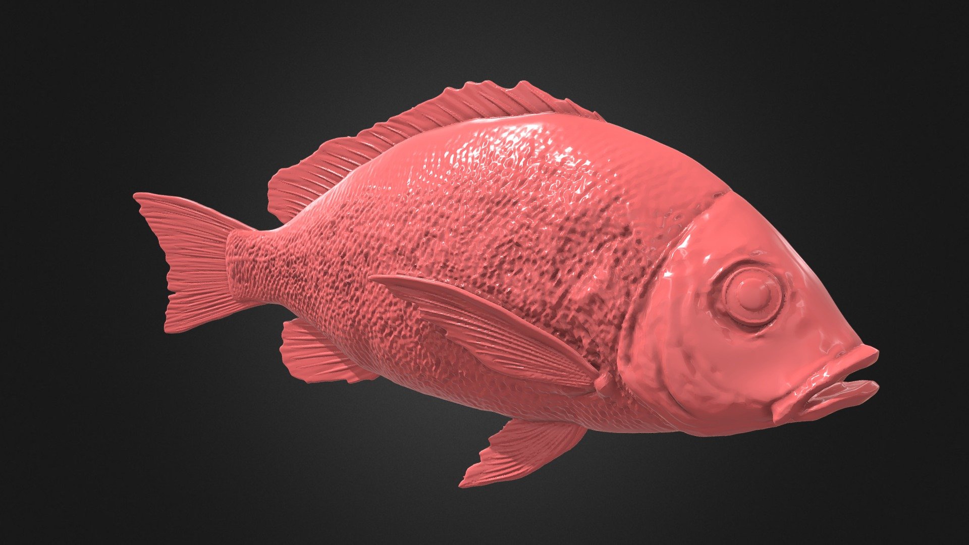 Snapper Fish | Fab