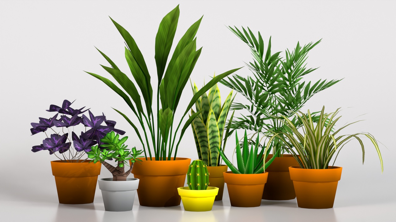 Media 1 for listing Stylized Plants
