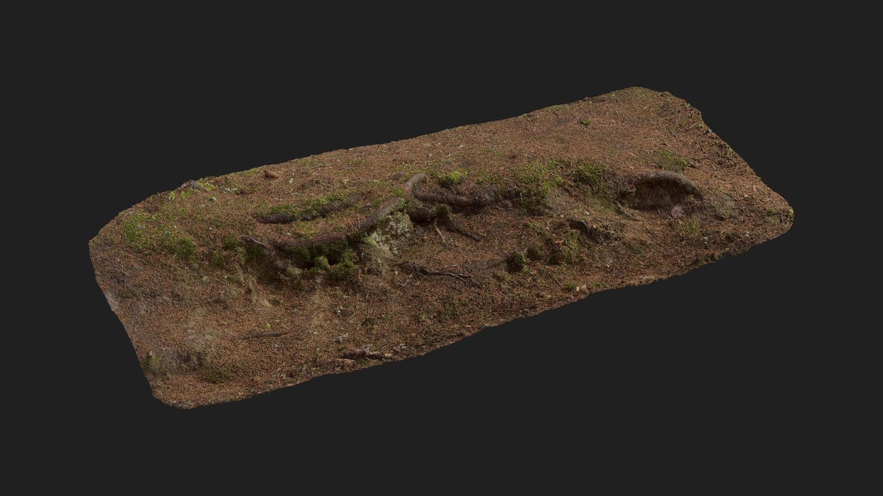 商品 Nordic Forest Ledge Dirt Root Medium 的媒体 1
