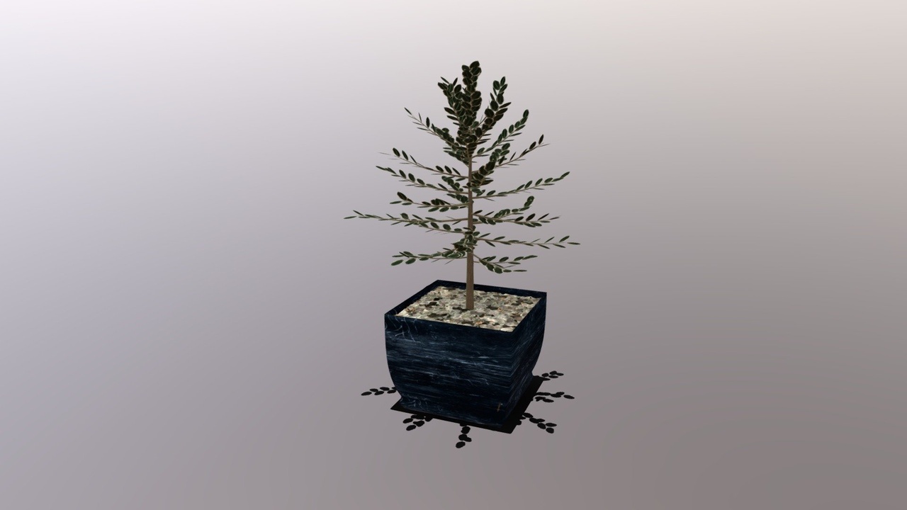 Media 1 for listing Potted Plant
