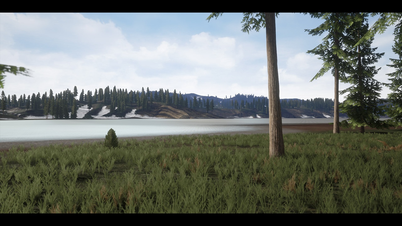 Realistic Forest Pack
