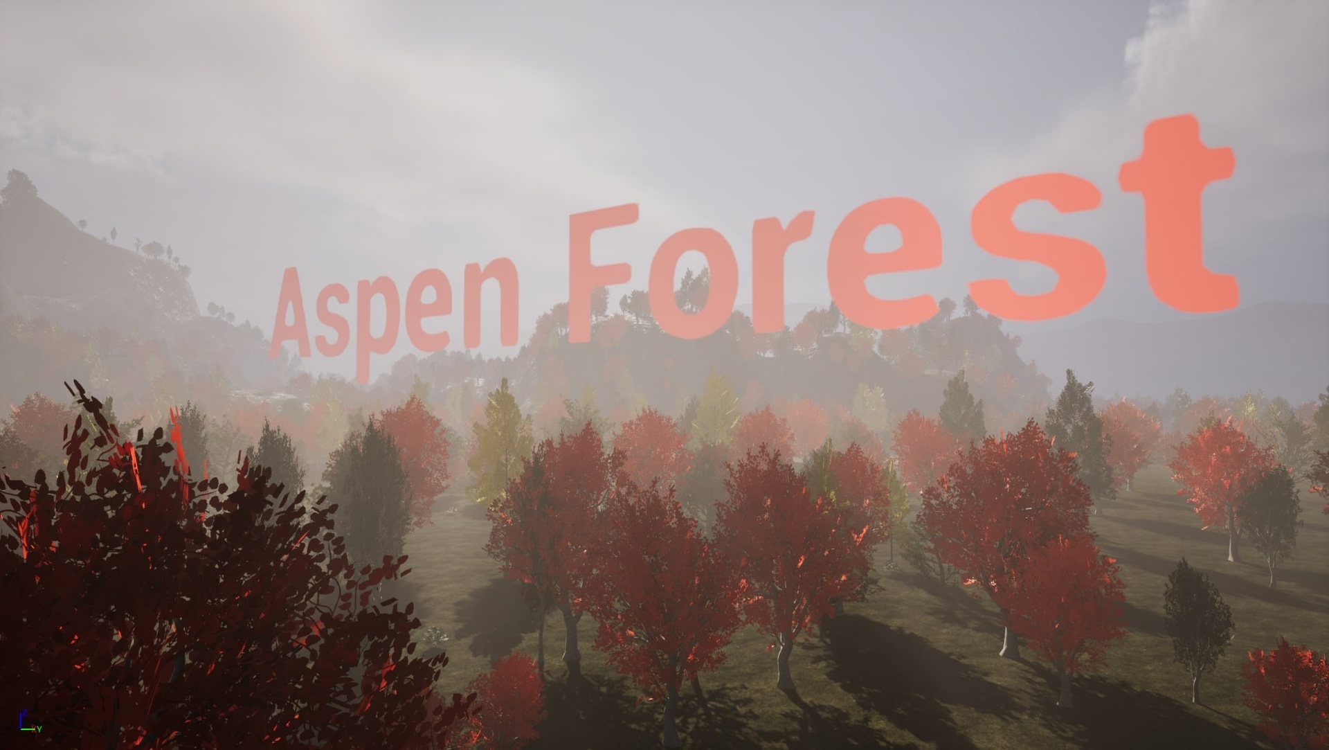 Media 1 for listing Trees: Aspen Tree Forest