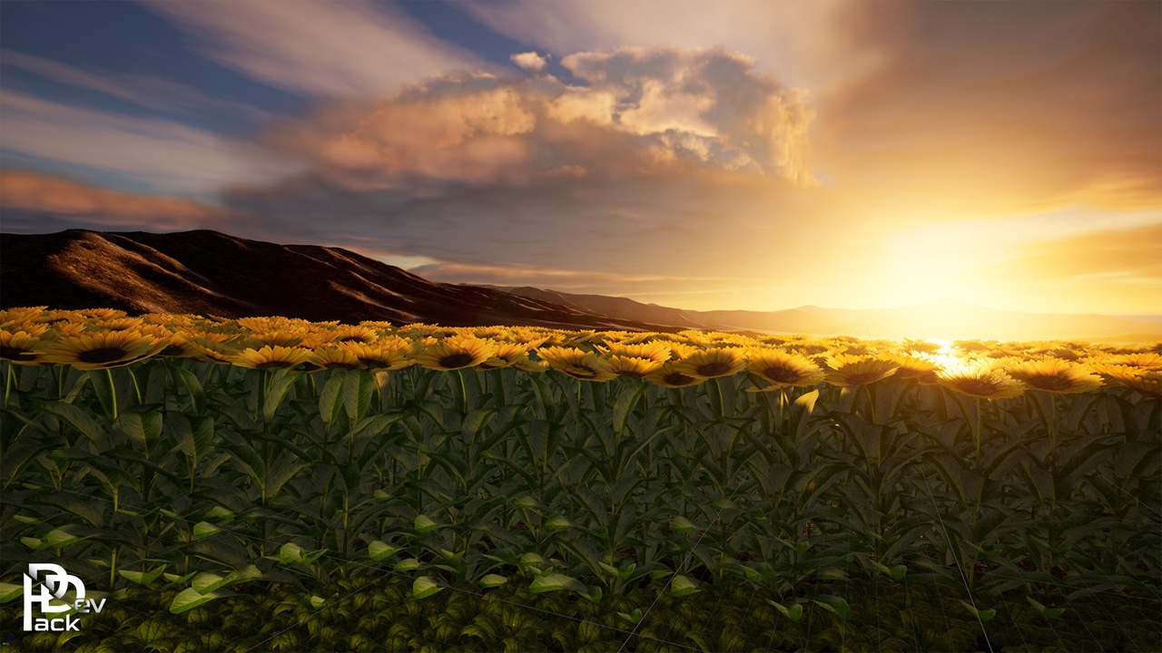 Media 1 for listing Farm Plants / 24 Assets