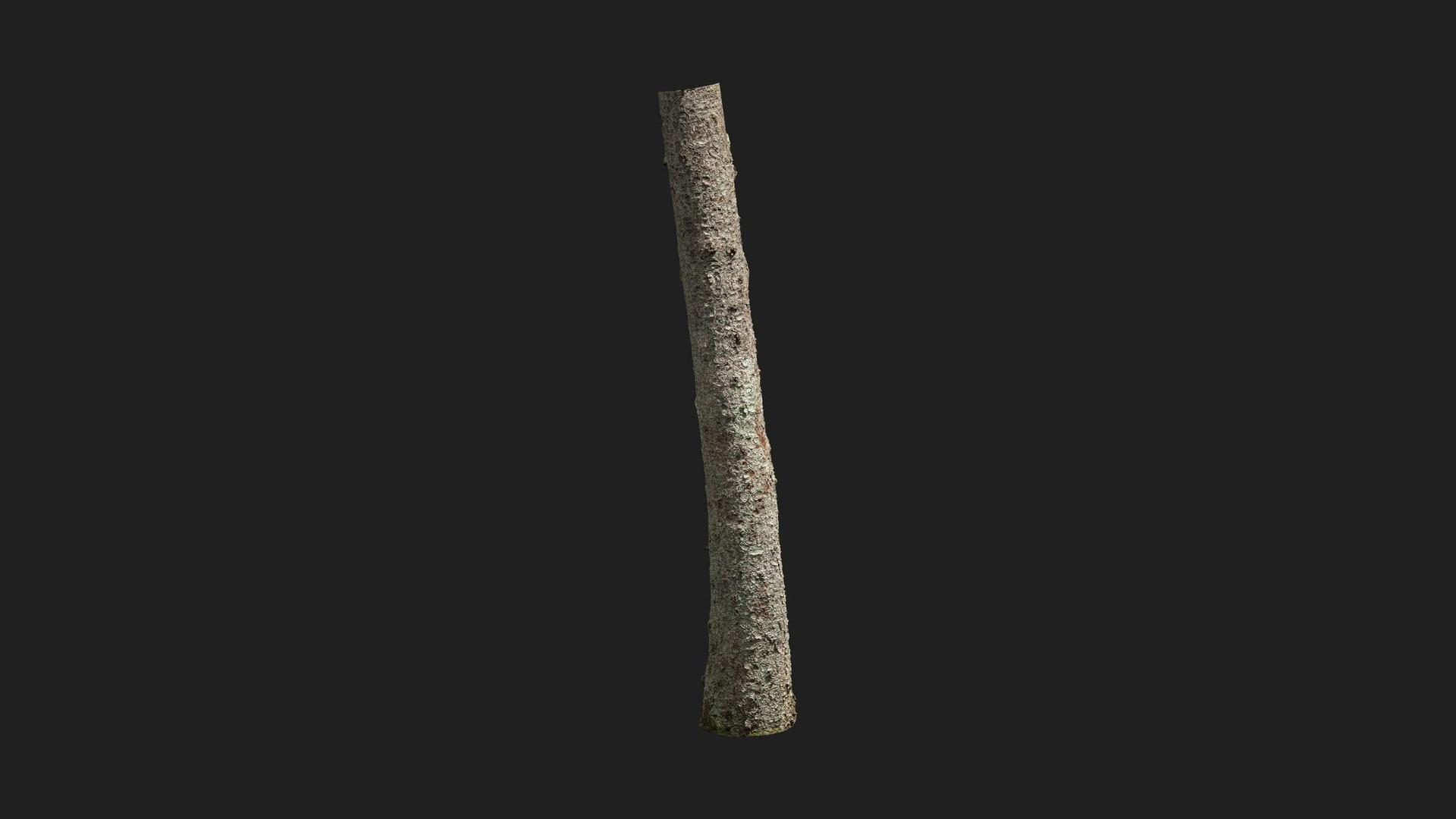 Nordic Forest Tree Trunk Spruce Medium | Fab