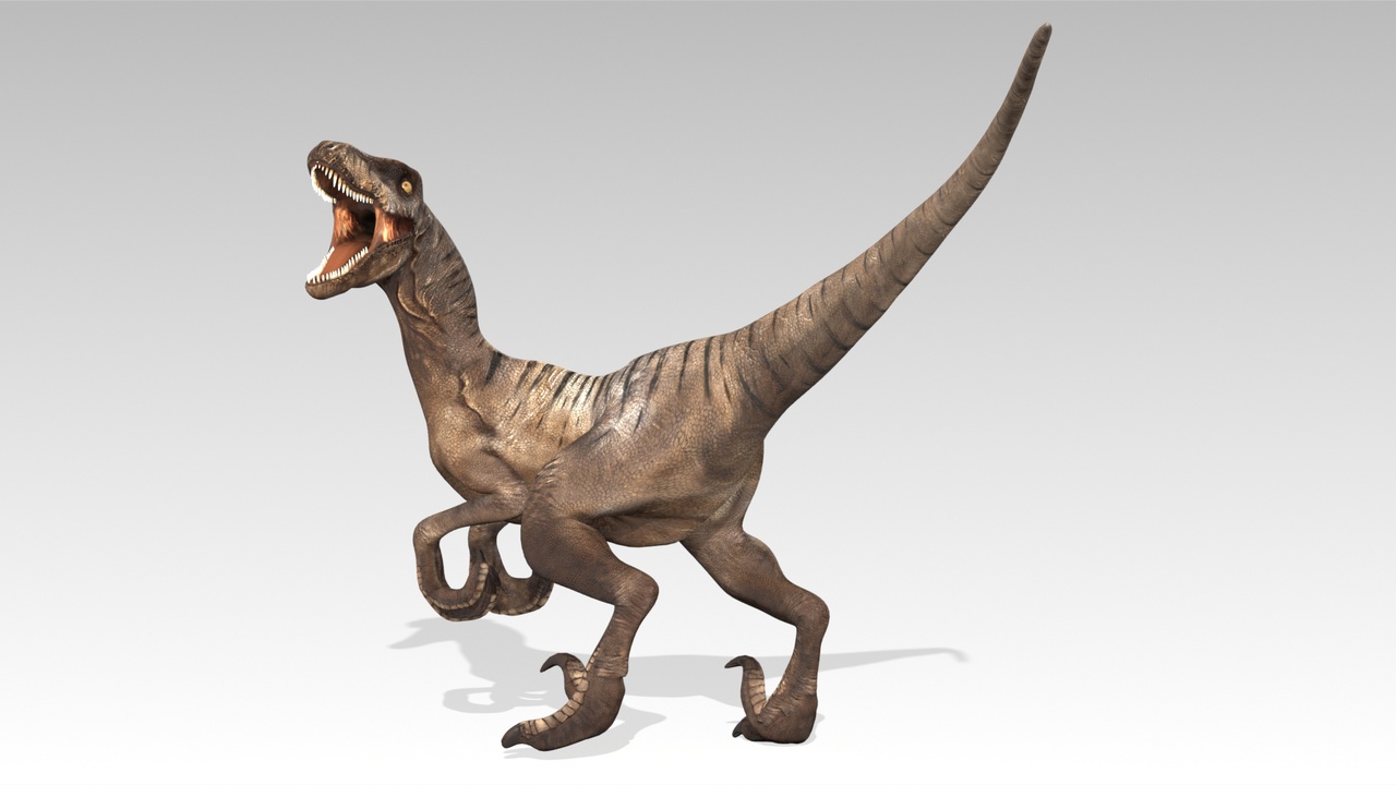 商品 Velociraptor Animated 的媒体 1