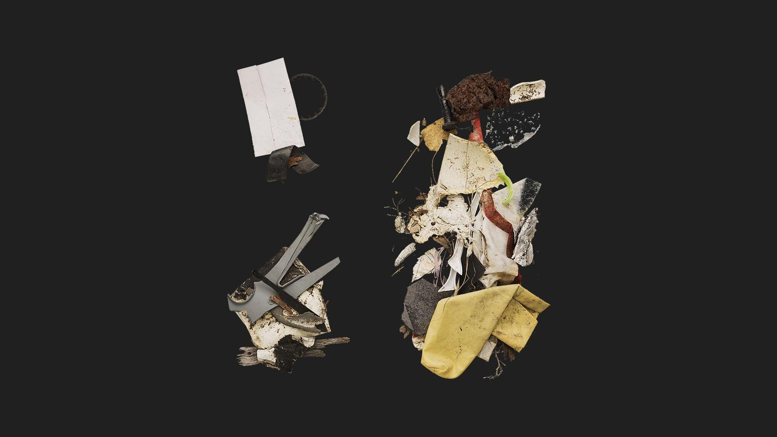 Media 1 for listing Trash Piles