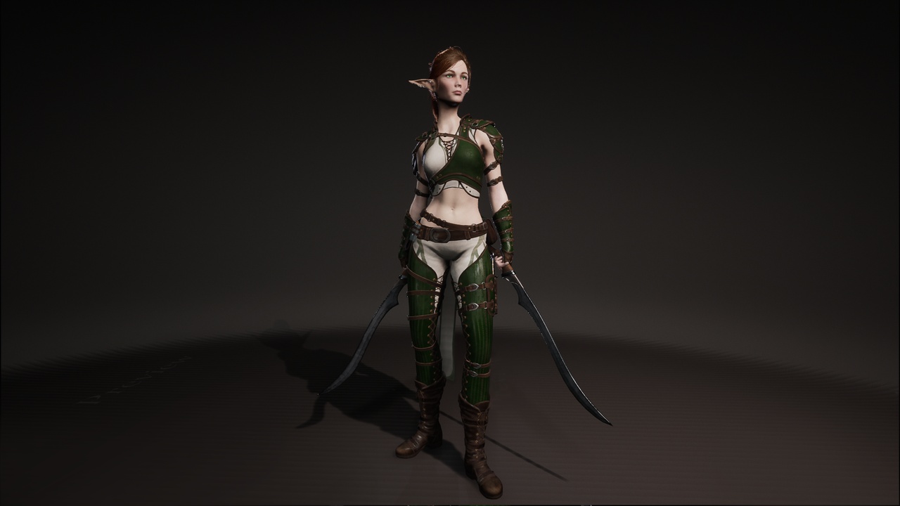 Media 1 for listing Elf Mercenary