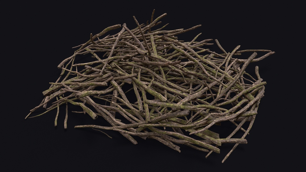 Media 1 for listing Pile of branches