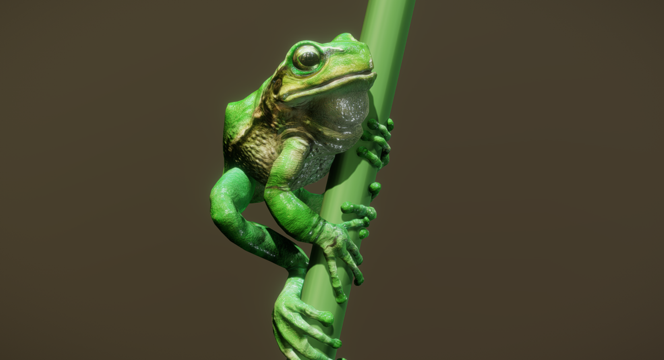 European Tree Frog | Fab