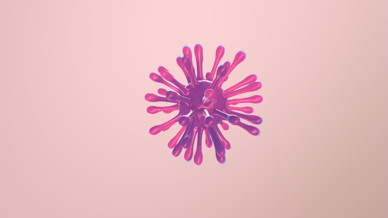 Media 1 for listing Corona Virus