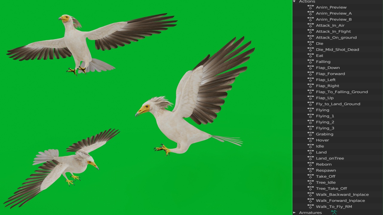 Media 1 for listing Egyptian White Scavenger Vulture (Game Ready)