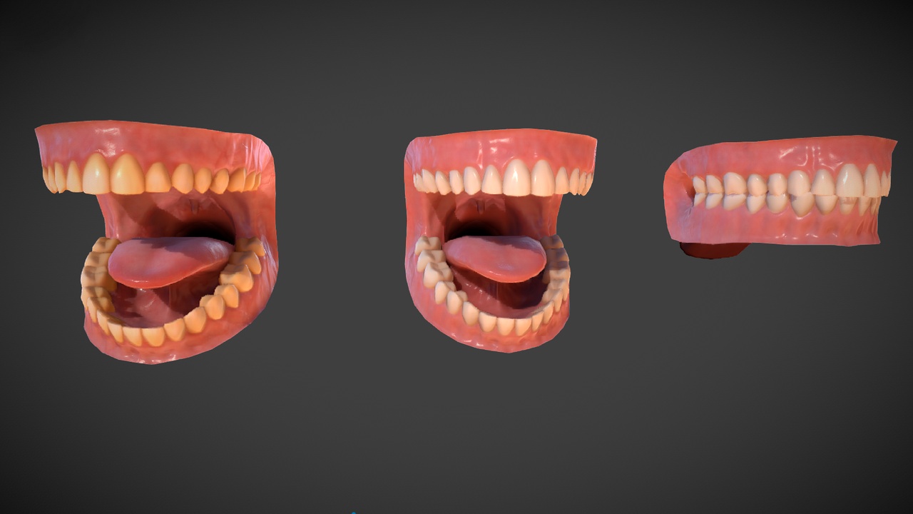 Media 1 for listing Teeth and mouth cavity
