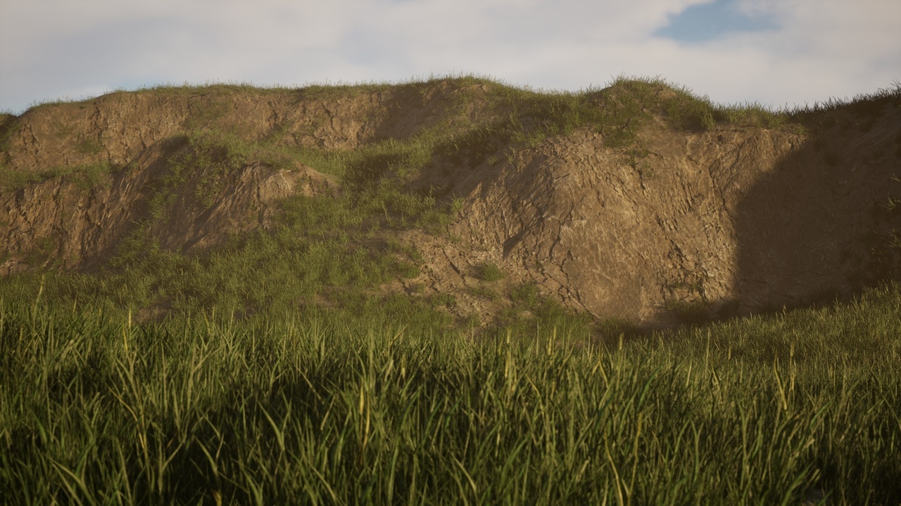 Media 1 for listing Nanite Geometry Grass