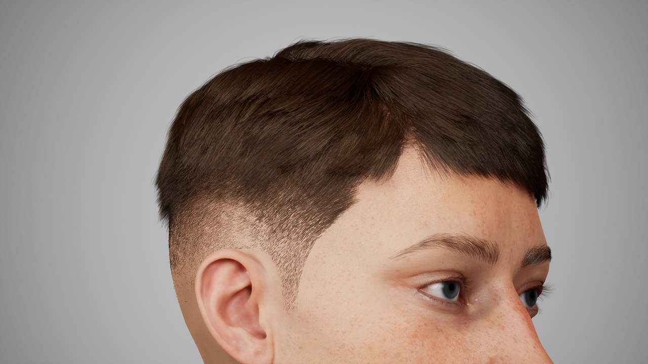 Media 1 for listing MetaHair 220- Groom hair for Metahumans - With lowpoly version in additional