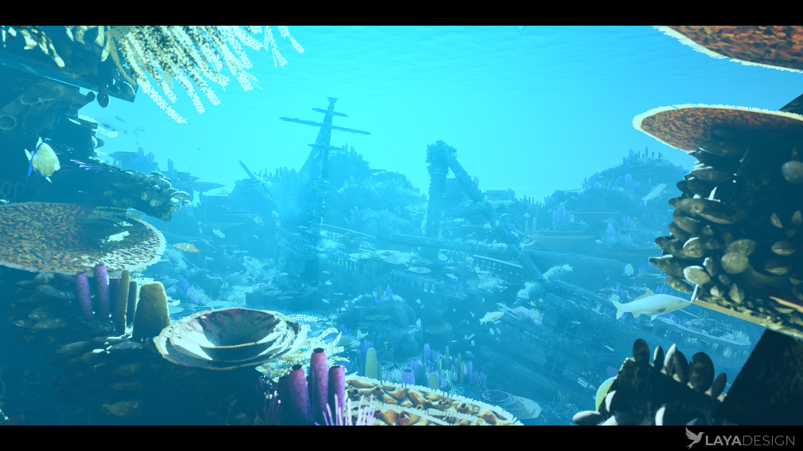 Media 1 for listing Shipwreck Underwater