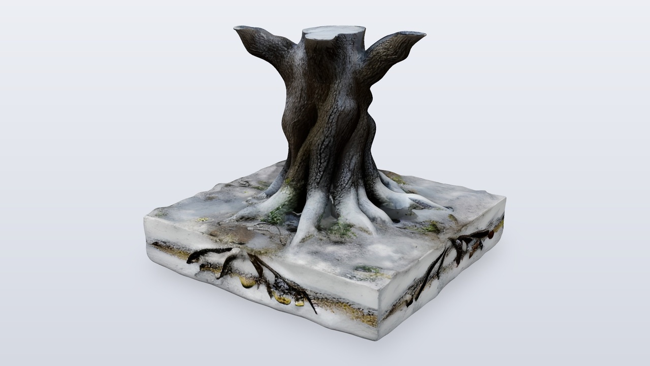 Media 1 for listing Winter Oak Tree Trunk Stump