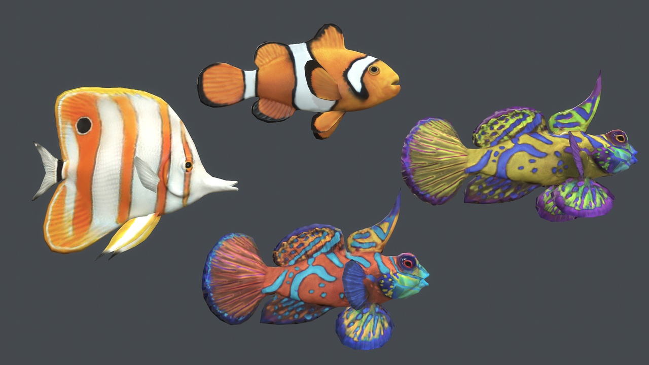Media 1 for listing Underwater Life