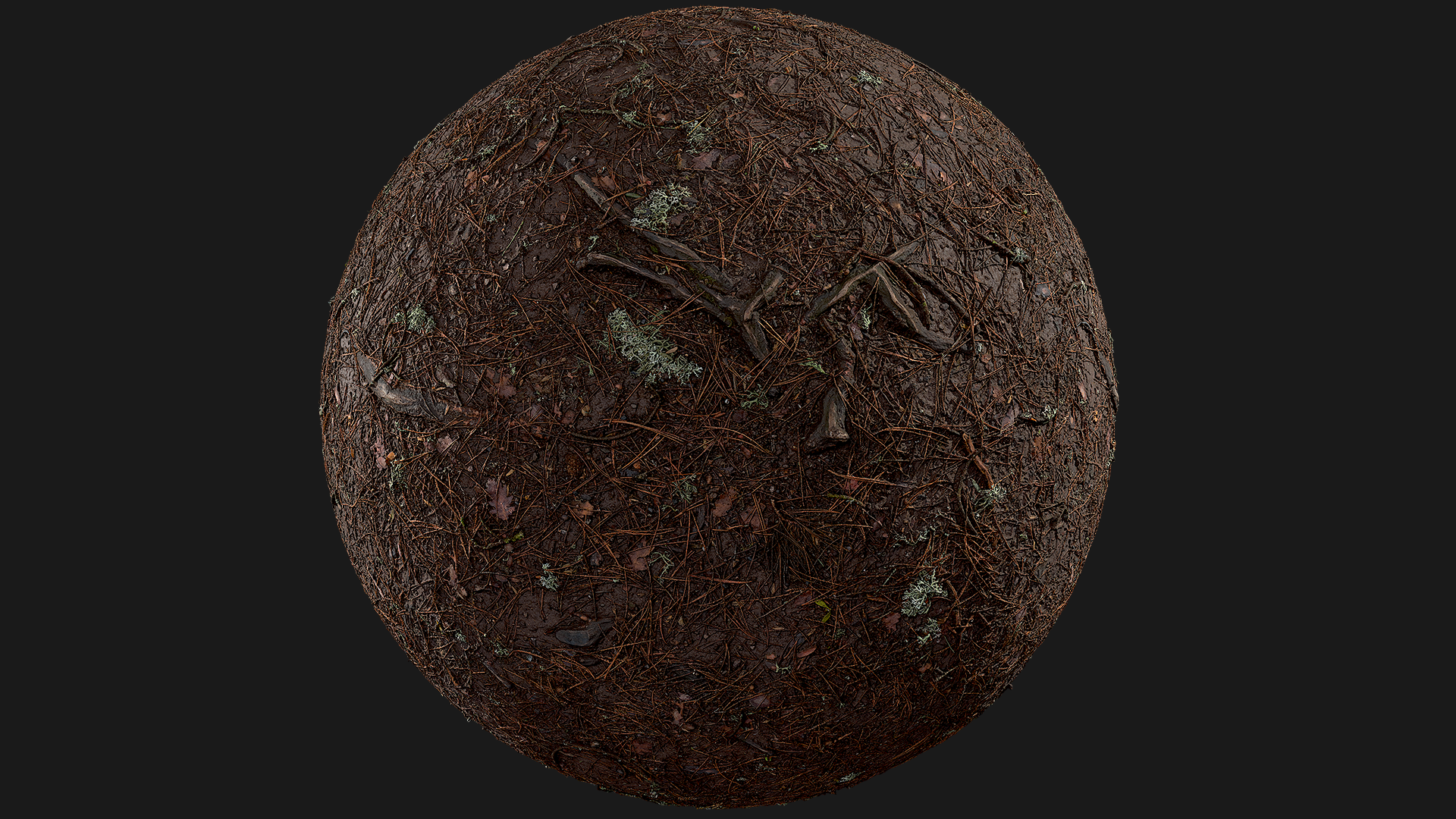 Forest Ground (y5PMfX) | Fab