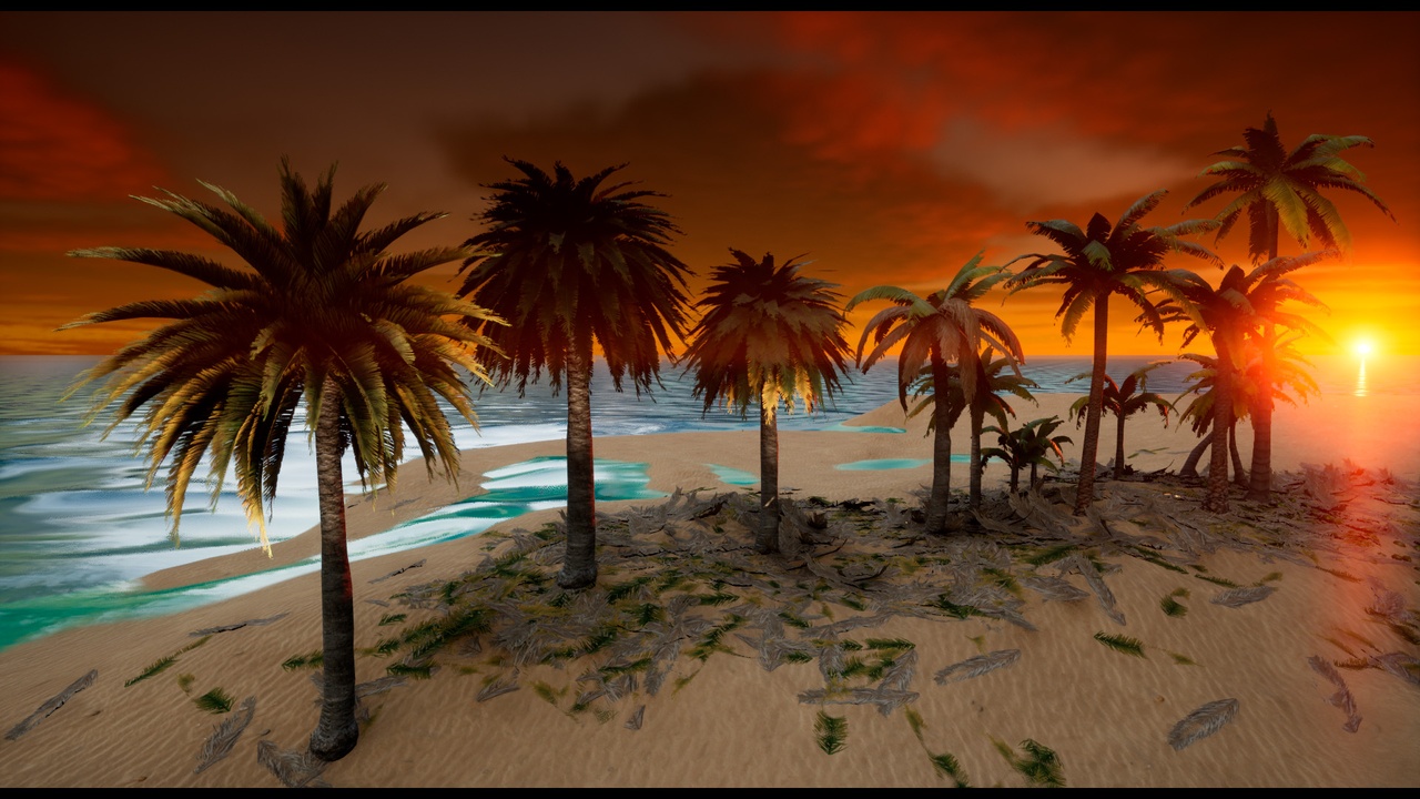 Media 1 for listing Palms Tree Selection 2