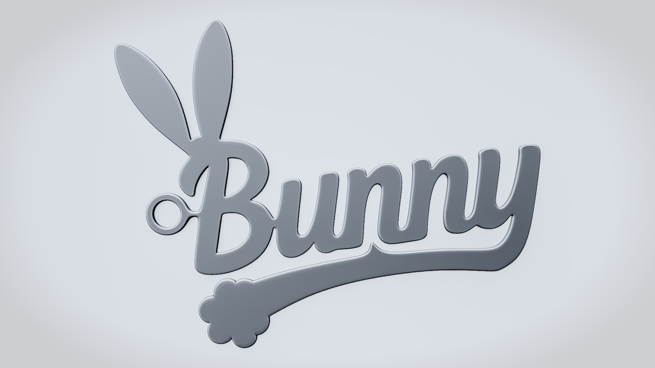 Media 1 for listing BUNNY Bunny Sign