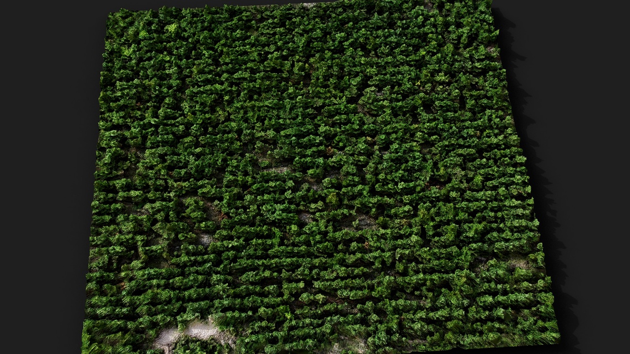 Media 1 for listing forest terrain ground trees area patch pt2 PBR photogrammetry