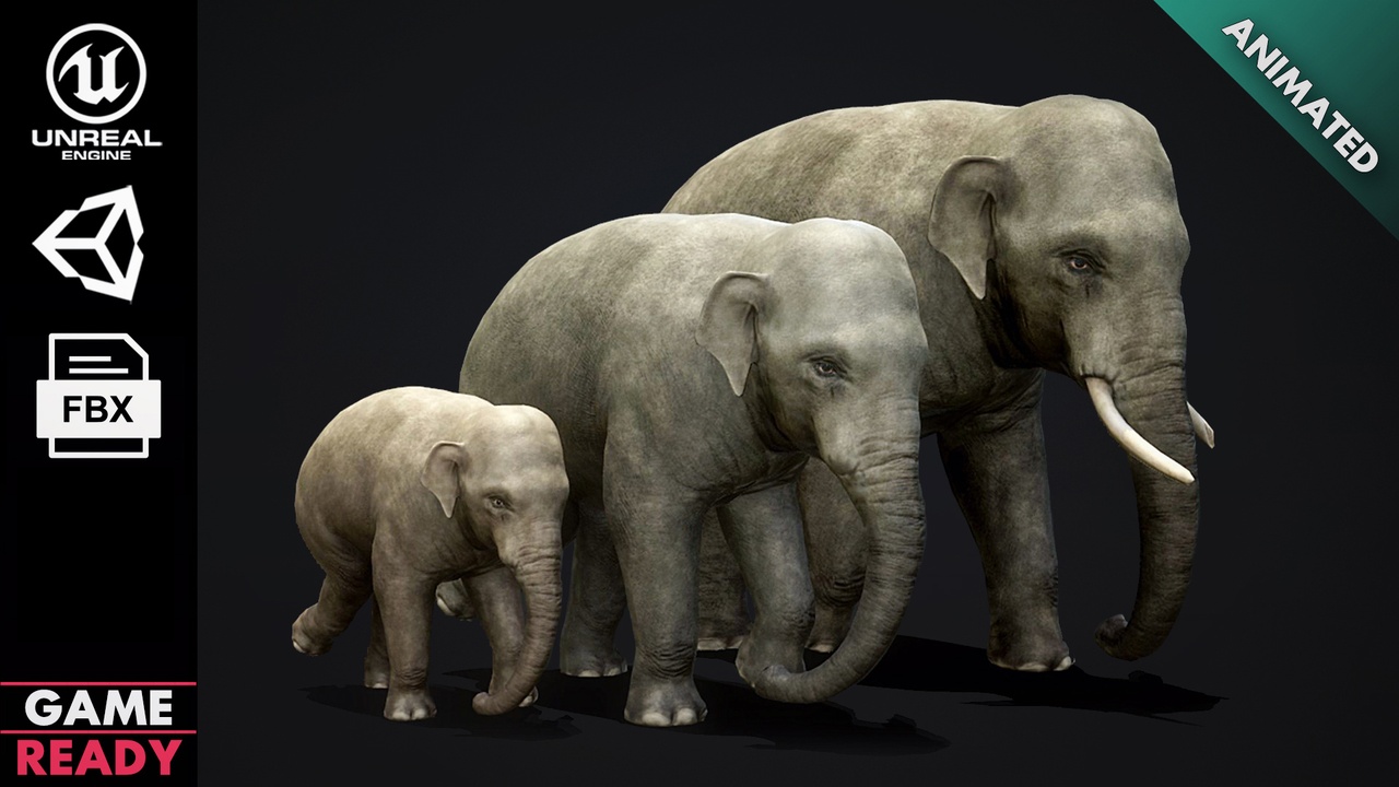 Descargar Epic Fail Elephant Philippines Travel Guide Lonely