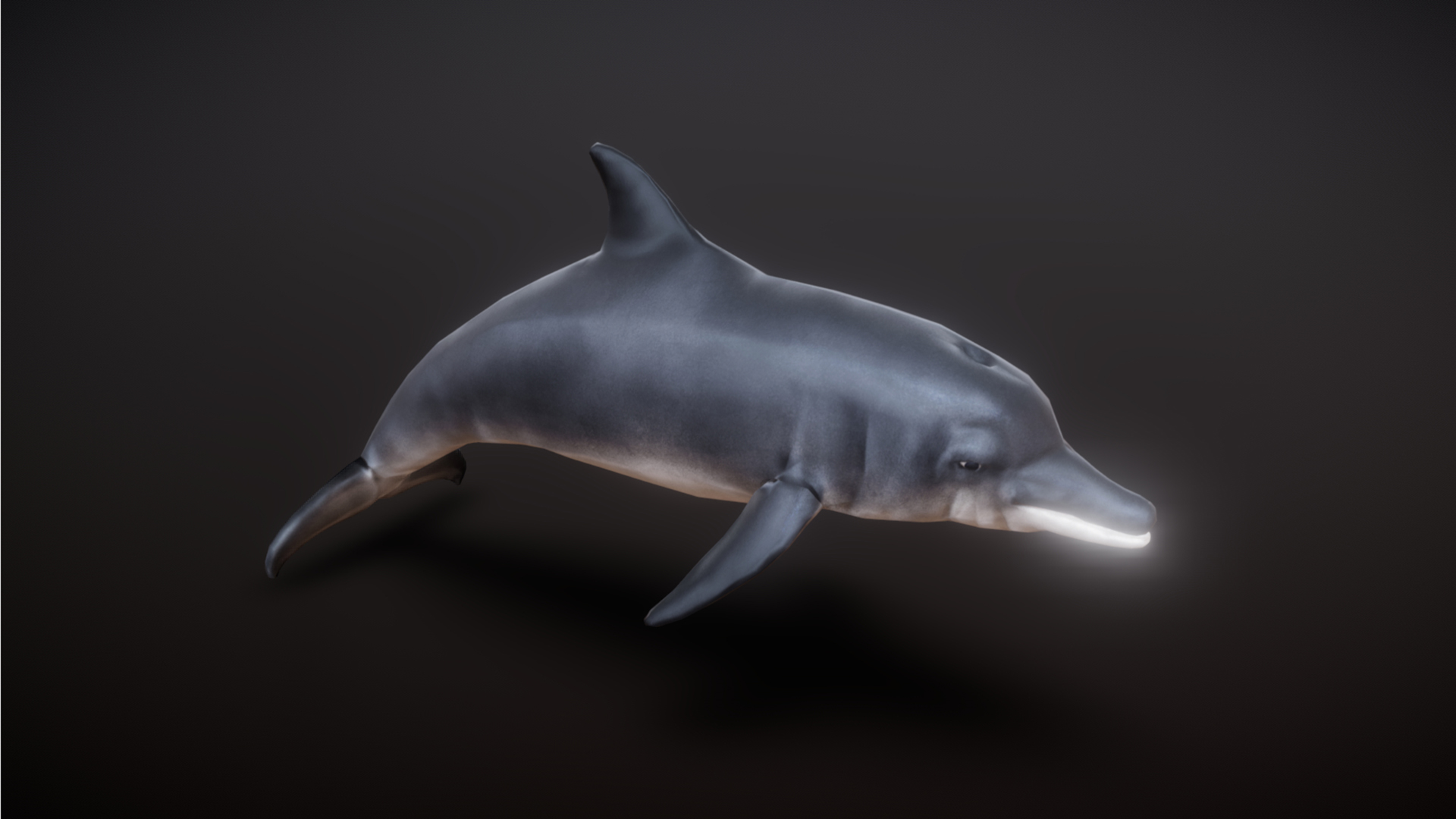 Dolphin animation C168 | Fab