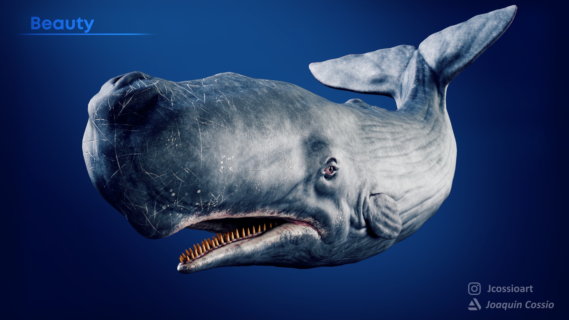 Media 1 for listing Realistic Spermwhale Game Ready