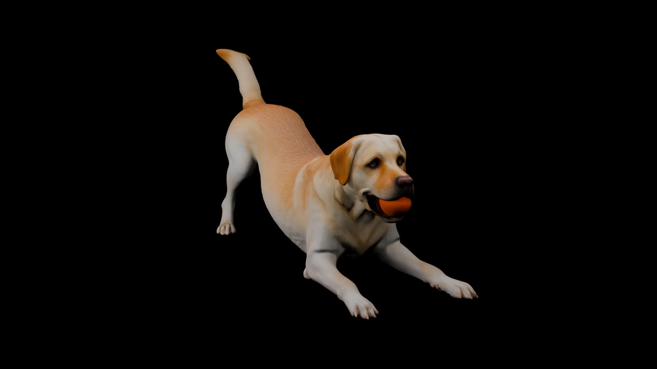 Media 1 for listing Realistic Labrador Dog – Playing Pose with Ball (3D Model)