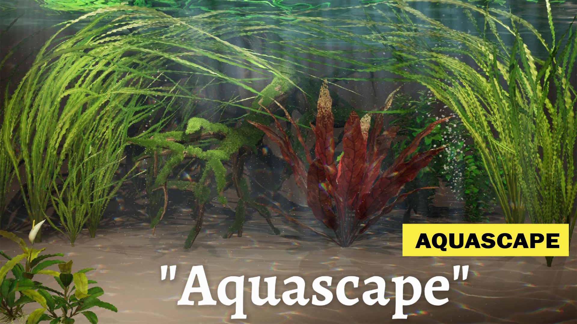 Aquascape – Modular Underwater Scene with Animated Plants | Fab