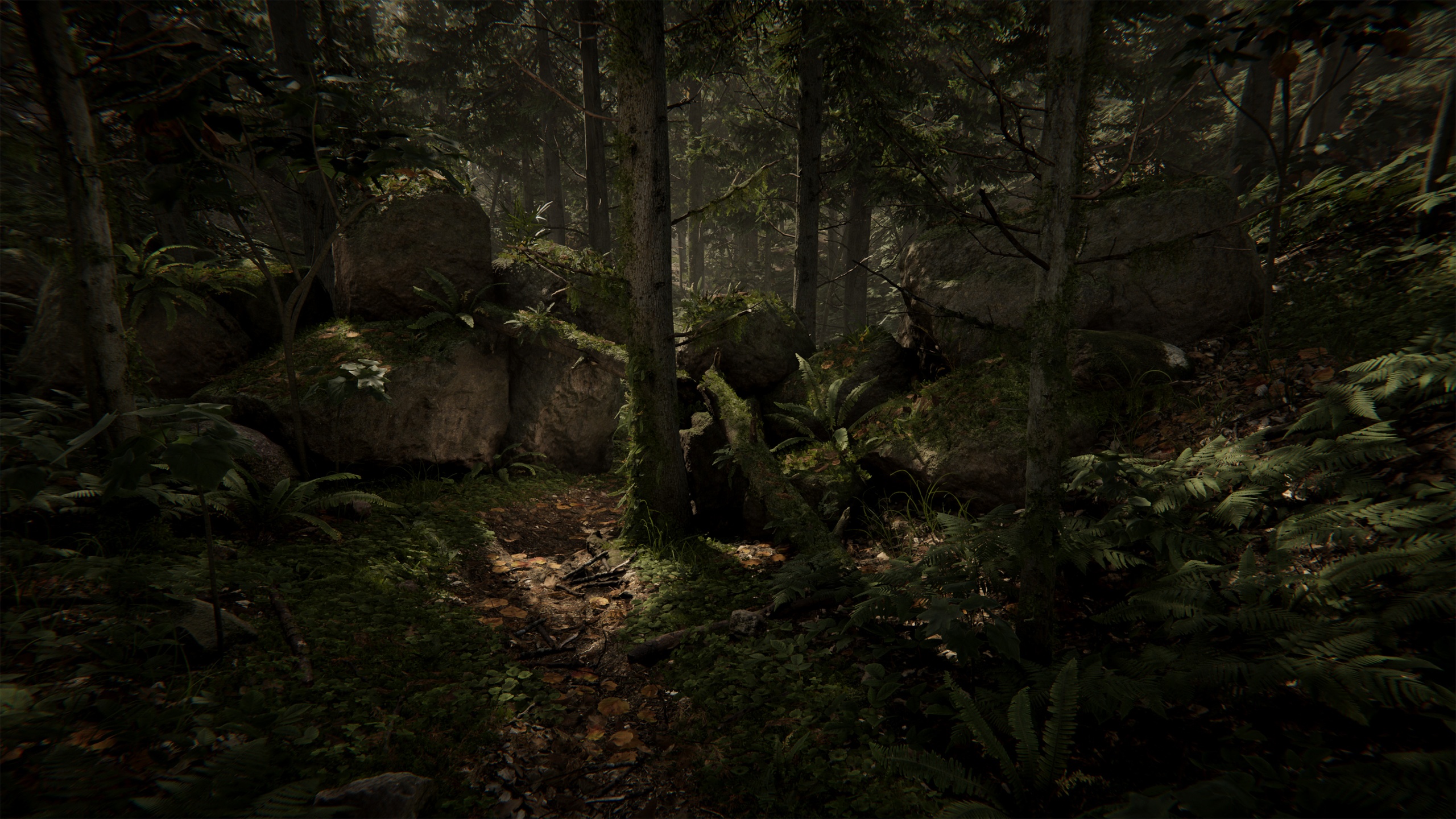 Media 1 for listing Mossy Cedrus Forest