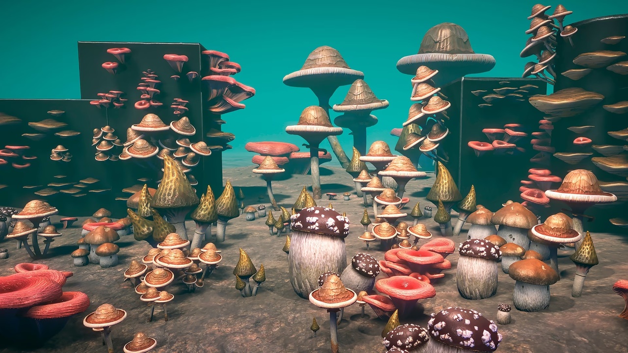 商品 Big mushrooms 的媒体 1