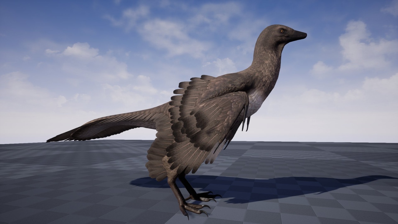 Media 1 for listing Archaeopteryx