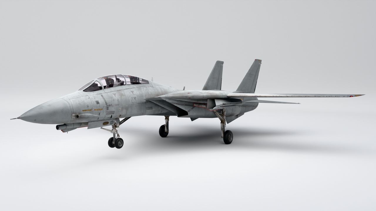Media 1 for listing F 14 Tomcat Fighter